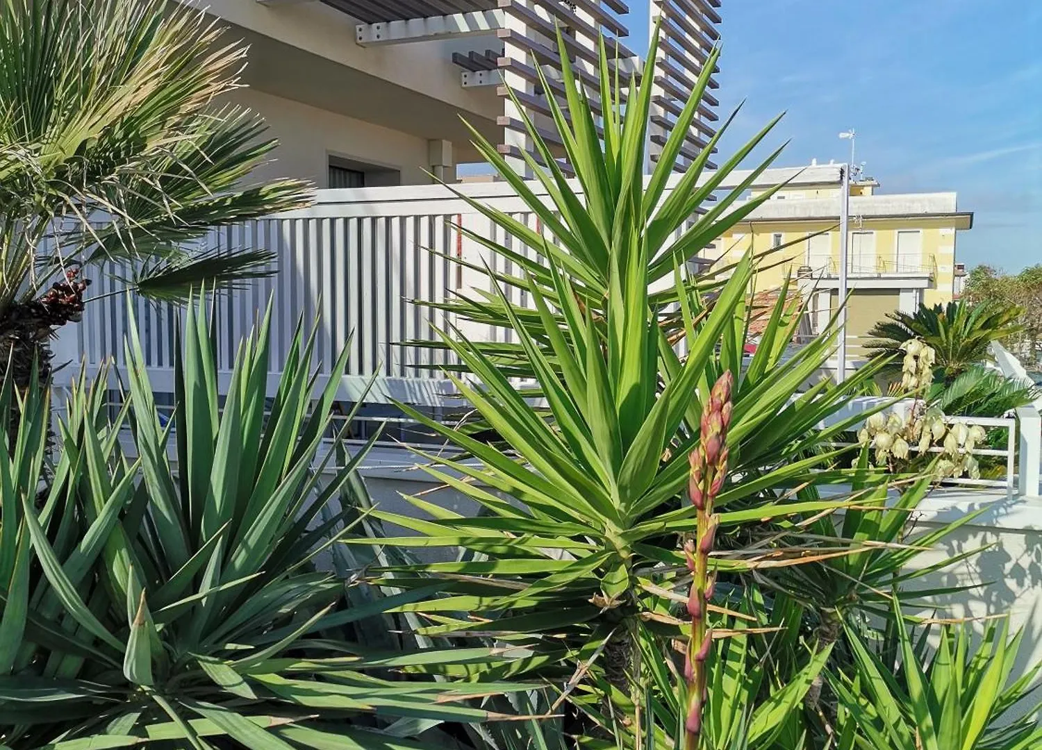 Hotel Madalu Viserba Di Rimini 3*,  إيطاليا